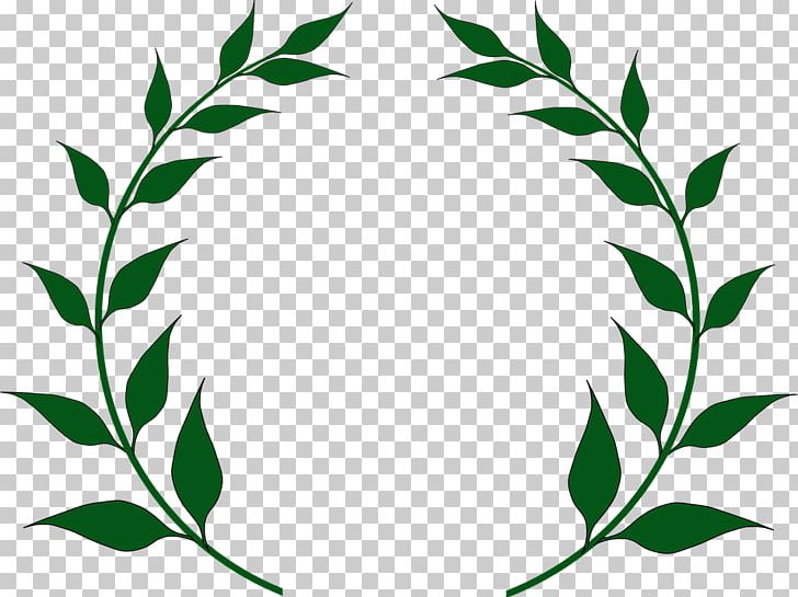 Olive Branch Laurel Wreath PNG, Clipart, Artwork, Branch, Clip Art, Doves As Symbols, Download Free PNG Download
