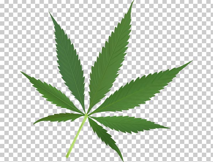 The Emperor Wears No Clothes Cannabis Desktop Hemp Leaf PNG, Clipart, Cannabis, Cannabis Sativa, Cannabis Smoking, Desktop Wallpaper, Emperor Wears No Clothes Free PNG Download
