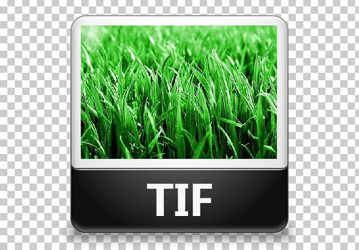 TIFF PNG, Clipart, Computer Icons, Computer Software, Document File Format, Download, Grass Free PNG Download