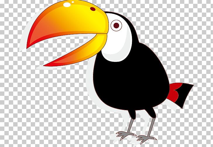 Bird Parrot Owl Cartoon PNG, Clipart, Animal, Balloon Cartoon, Beak, Bird, Birds Free PNG Download