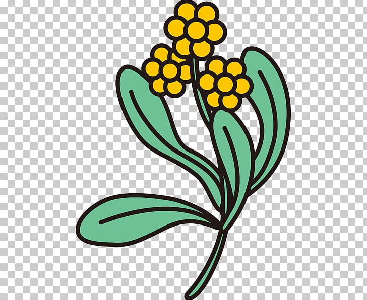 Illustration Microsoft PowerPoint Plants Text PNG, Clipart, Artwork, Color, Flora, Flower, Flowering Plant Free PNG Download