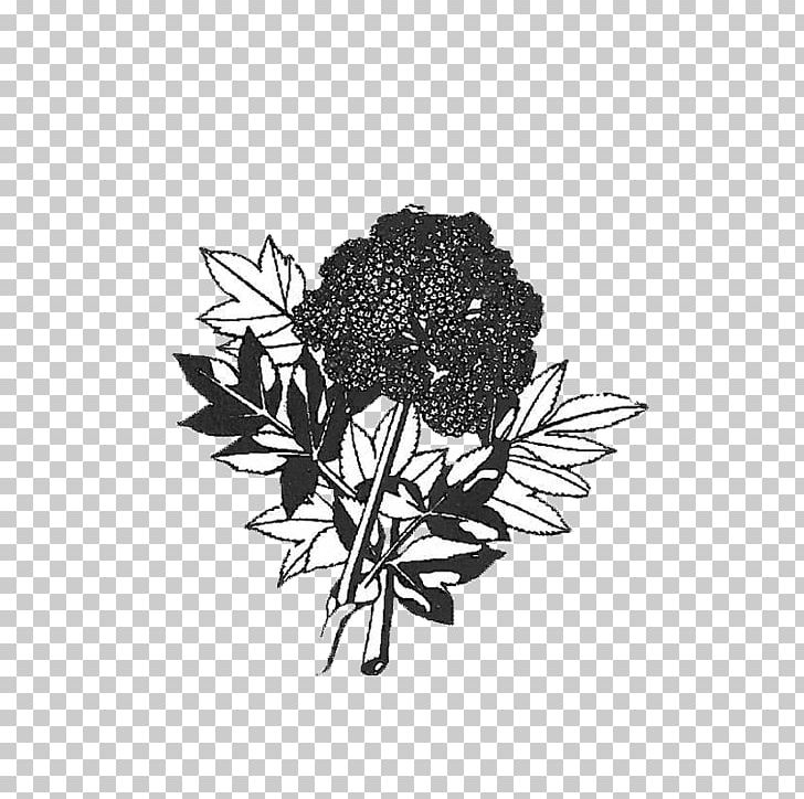 White Flowering Plant Font PNG, Clipart, Black, Black And White, Black M, Branch, Branching Free PNG Download