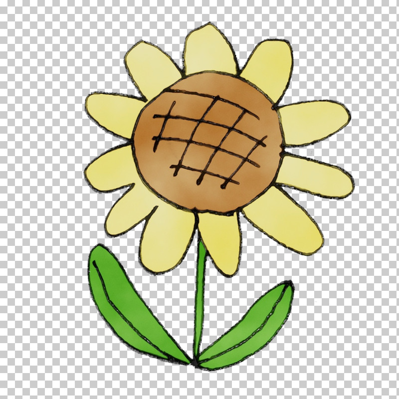 Sunflower PNG, Clipart, Biology, Cut Flowers, Flower, Fruit, Paint Free PNG Download