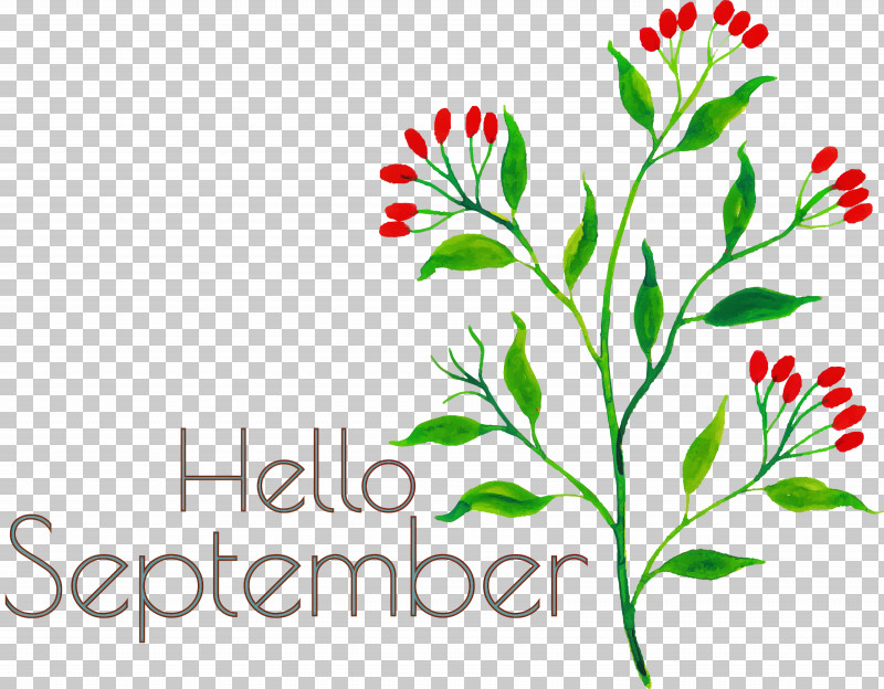 Hello September September PNG, Clipart, Autumn, Branch, Floral Design, Hello September, Leaf Free PNG Download