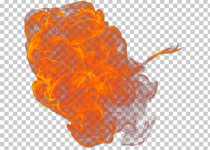 Fire Flame PNG, Clipart, Feuer, Fire, Flame, Fogo, Nature Free PNG Download