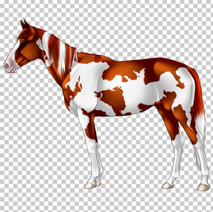 Mustang Foal Pony Stallion Mare PNG, Clipart, Black, Bridle, Colt, Deviantart, Foal Free PNG Download