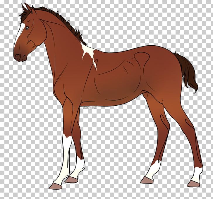 Foal Stallion Mare Pony Colt PNG, Clipart, Animal Figure, Art, Bridle, Colt, Foal Free PNG Download