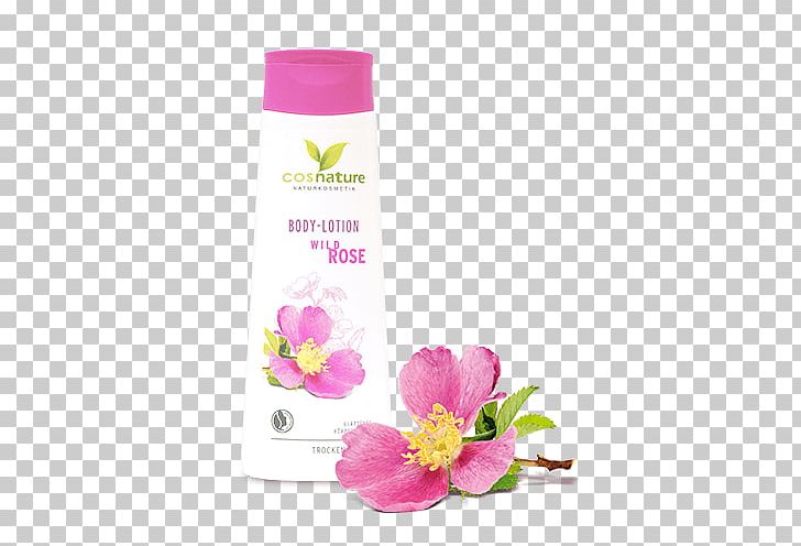 Lotion Cosmetics Shower Gel Rose Nivea PNG, Clipart, Cleanser, Cosmetics, Face, Flower, Flowers Free PNG Download