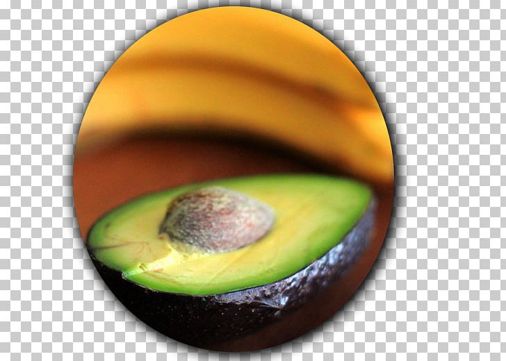 Superfood Avocado Close-up PNG, Clipart, Avocado, Closeup, Closeup, Food, Fruit Free PNG Download