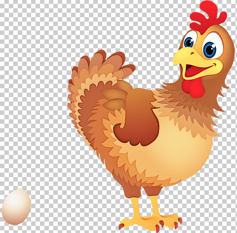 Chicken Bird Rooster Cartoon Beak PNG, Clipart, Beak, Bird, Cartoon, Chicken, Comb Free PNG Download