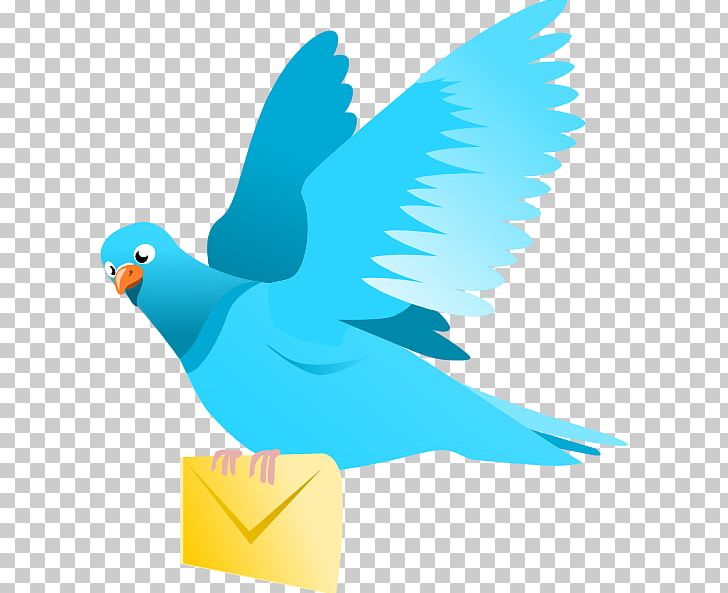 Homing Pigeon English Carrier Pigeon Columbidae PNG, Clipart, Beak, Bird, Clip Art, Columbidae, Delivery Free PNG Download