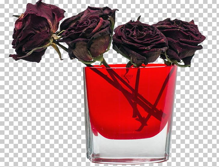 Rose Flower Bouquet Petal Stock.xchng PNG, Clipart, Color, Cup, Cut Flowers, Dry, Floral Design Free PNG Download