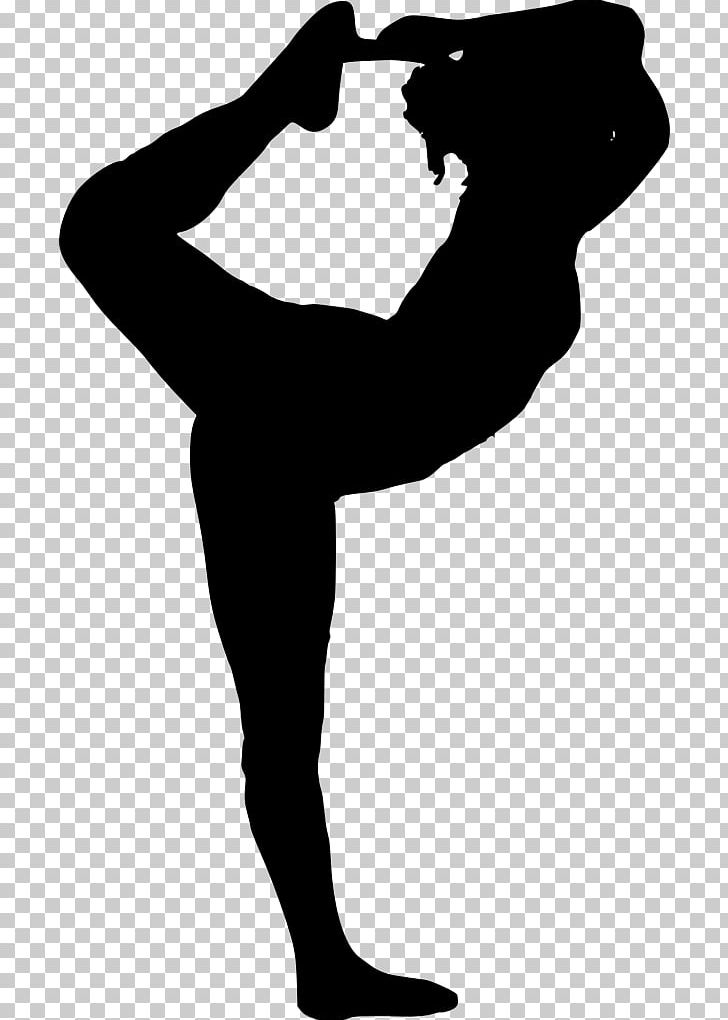 Silhouette Photography PNG, Clipart, Animals, Arm, Art, Art Gym, Black Free PNG Download