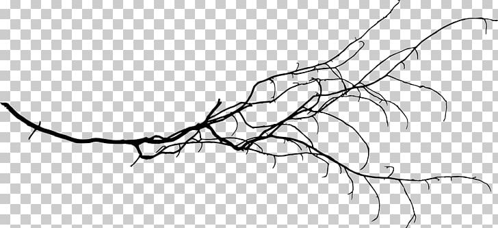 Branch Tree Twig PNG, Clipart, Art, Artwork, Black And White, Branch, Drawing Free PNG Download