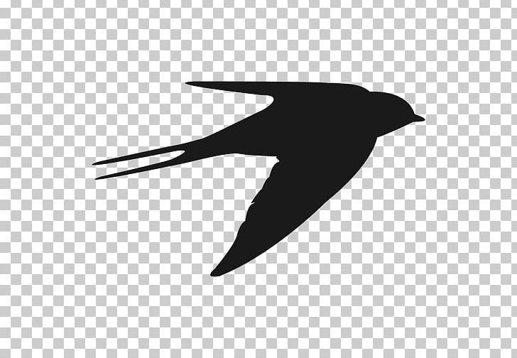 Hummingbird Beak Swallow Flight PNG, Clipart, Animals, Barn Swallow, Beak, Bird, Bird Fly Free PNG Download