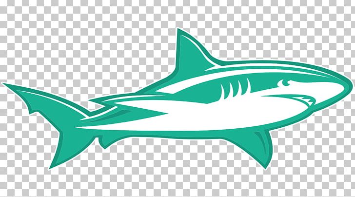Tiger Shark Bootstrap Login Phishing Password PNG, Clipart, Biology, Bootstrap, Carcharhiniformes, Cartilaginous Fish, Corporate Communication Free PNG Download
