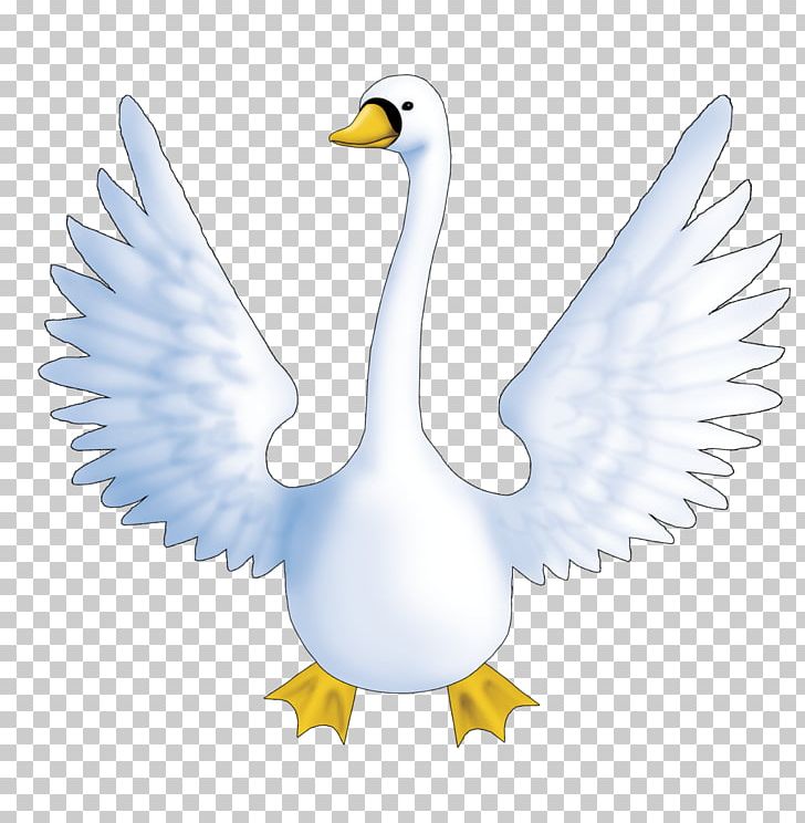 Goose Duck Black Swan Bird Tattoo PNG, Clipart, Anatidae, Animal, Animals, Beak, Bird Free PNG Download
