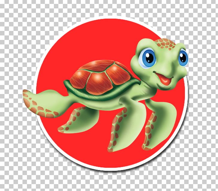 Turtle Houston Swim Club Cypress Learning School PNG, Clipart, Amphibian, Amphibians, Experience, Houston, Learning Free PNG Download