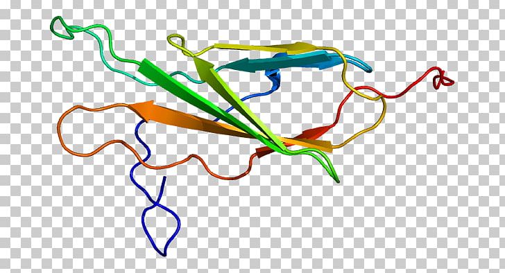 EPH Receptor A1 Protein Ephrin Receptor Wikipedia Encyclopedia PNG, Clipart, Area, Data, Disease, Document, Encyclopedia Free PNG Download
