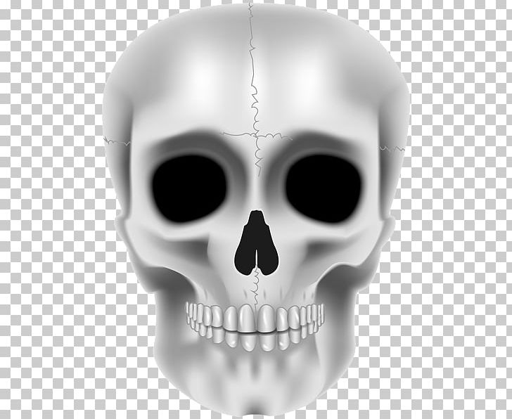 Jaw Skull Skeleton Product Design PNG, Clipart, Art, Bone, Clip, Face, Fantasy Free PNG Download