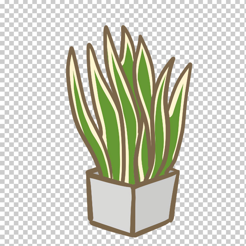 Cactus PNG, Clipart, Biology, Cactus, Flowerpot, Plants, Plant Stem Free PNG Download