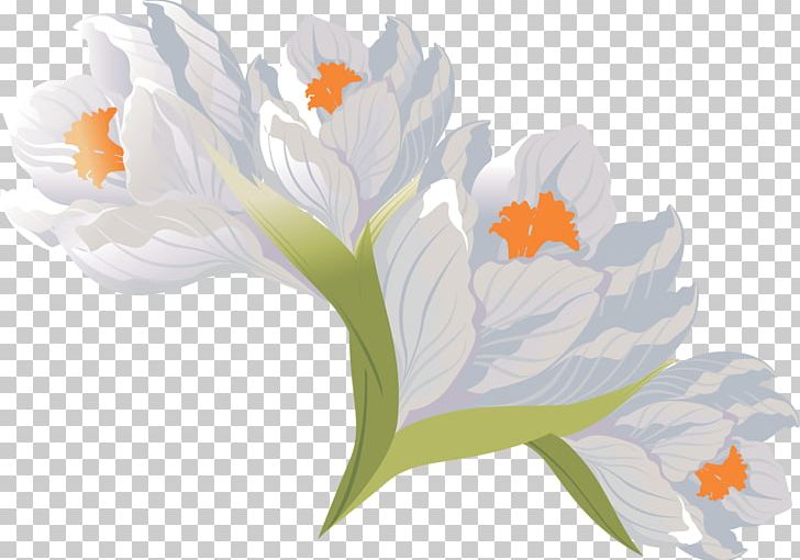 Flower Crocus PhotoScape PNG, Clipart, Colchicum Autumnale, Crocus, Flower, Flowering Plant, Gimp Free PNG Download