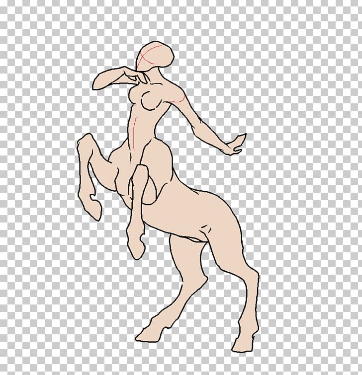 Horse Centaurides Homo Sapiens Finger PNG, Clipart, Abdomen, Animals, Arm, Base, Boy Free PNG Download