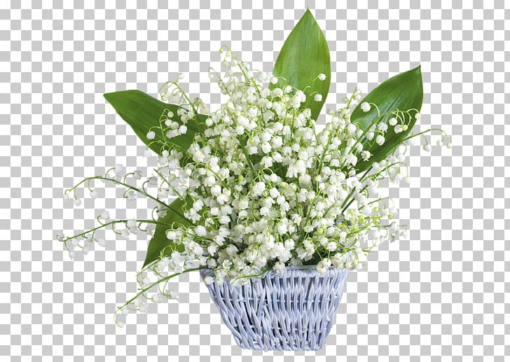 Lily Of The Valley Flower Desktop France 1 May PNG, Clipart, 1 May, Blingee, Cut Flowers, Desktop Wallpaper, Floral Design Free PNG Download