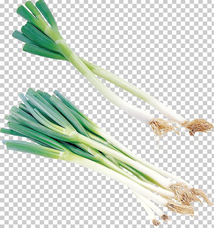 Onion Allium Fistulosum Vegetable Scallion PNG, Clipart, Allium Fistulosum, Eggplant, Food, Garlic, Leaf Free PNG Download