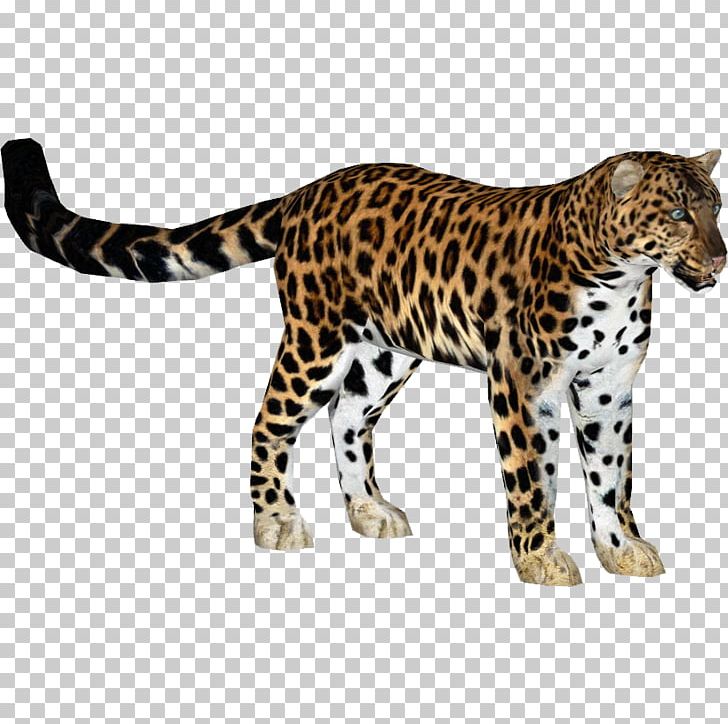 Zoo Tycoon 2 Jaguar Felidae Amur Leopard Cheetah PNG, Clipart, Amur Leopard, Animal, Animal Figure, Animals, Big Cat Free PNG Download