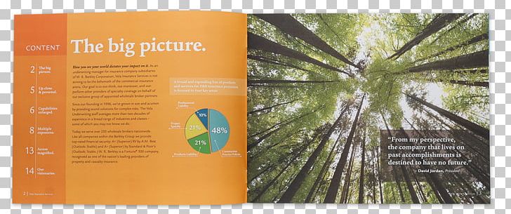 Brochure Business Flyer Insurance PNG, Clipart, Accounting, Brand, Brochure, Business, Corporate Flyer Free PNG Download