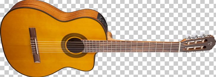 Gibson Chet Atkins SST Takamine Guitars Classical Guitar Acoustic-electric Guitar PNG, Clipart, Classical Guitar, Cuatro, Cutaway, Guitar Accessory, Pickup Free PNG Download