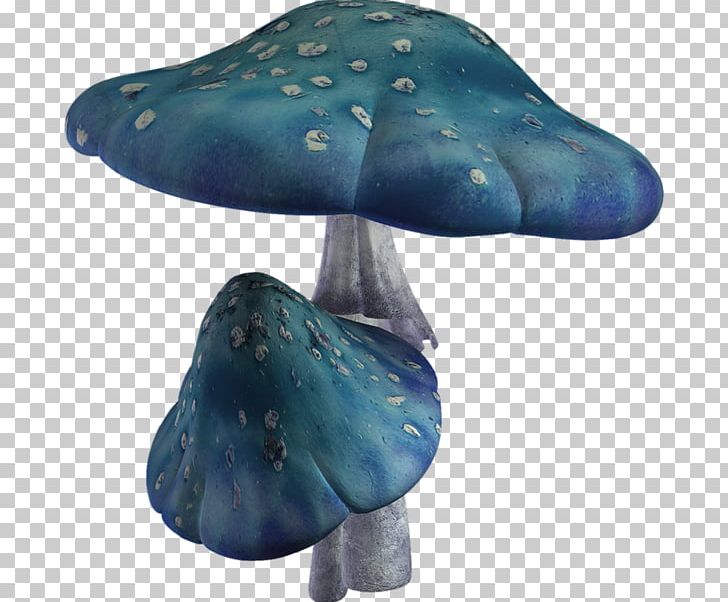 Hot Pot Mushroom Shiitake PNG, Clipart, Bacteria, Blue, Blue Abstract, Blue Background, Blue Border Free PNG Download
