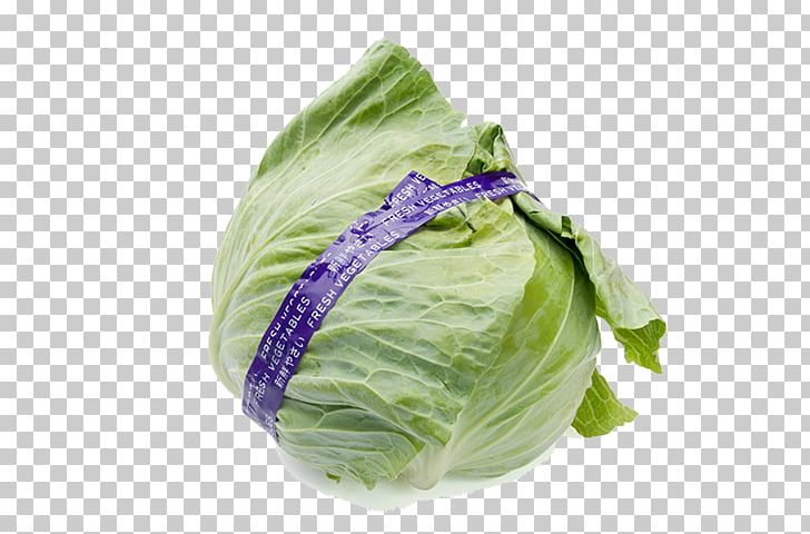 Red Cabbage Brussels Sprout Kale Vegetable PNG, Clipart, Background Green, Bell Pepper, Brussels Sprout, Cabbage, Chili Pepper Free PNG Download