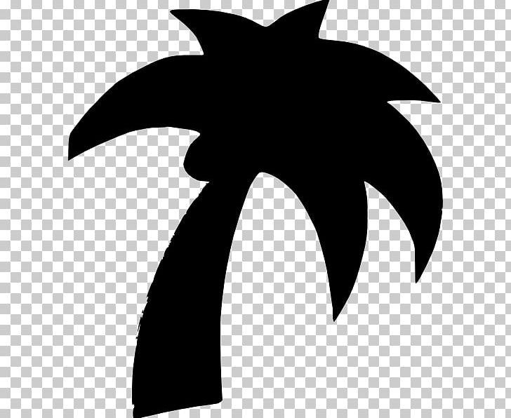 Arecaceae PNG, Clipart, Arecaceae, Black And White, Branch, Coconut, Date Palm Free PNG Download