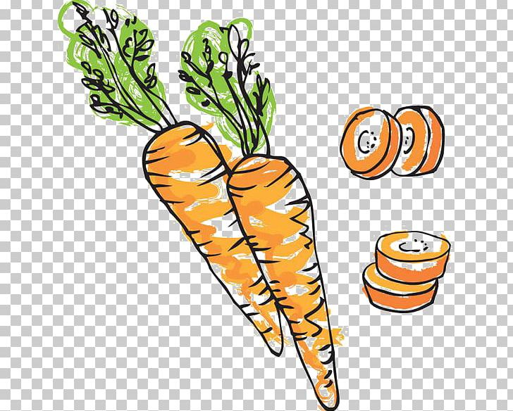 Carrot Cake Drawing Illustration PNG, Clipart, Baby Carrot, Bunch Of Carrots, Carrot, Carrot And Stick, Carrot Cartoon Free PNG Download