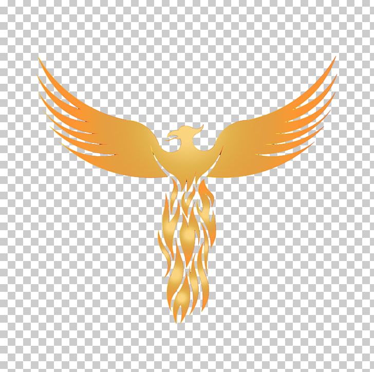 Logo Phoenix Graphic Design Sticker PNG, Clipart, Art, Beak, Bird, Bird Of Prey, Computer Wallpaper Free PNG Download