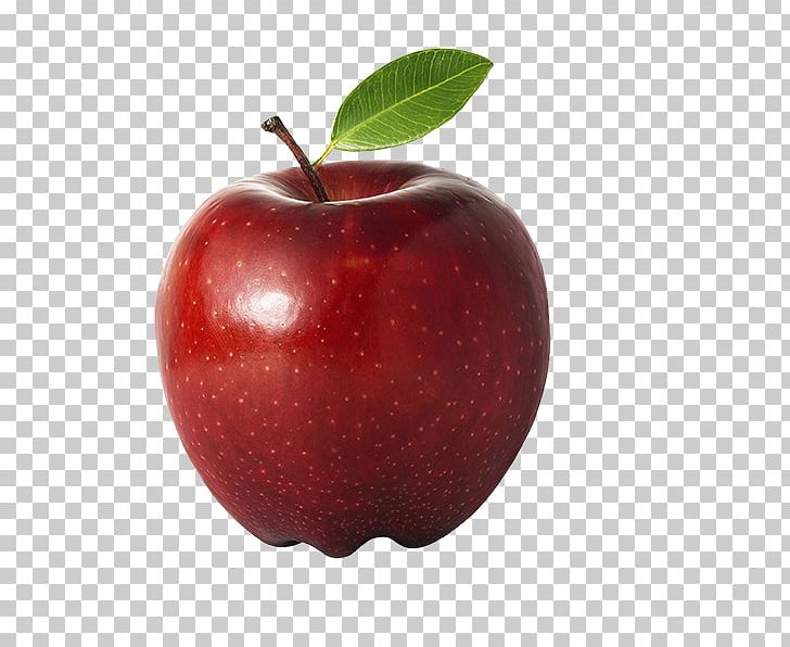 School Food Teacher Apple Fruit PNG, Clipart, Accessory Fruit, Apple, Apple A Day Keeps The Doctor Away, Food, Fruit Free PNG Download