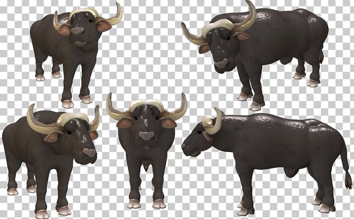 Water Buffalo Bison African Buffalo Cattle Spore PNG, Clipart, African Buffalo, Animal, Bison, Bovinae, Bull Free PNG Download