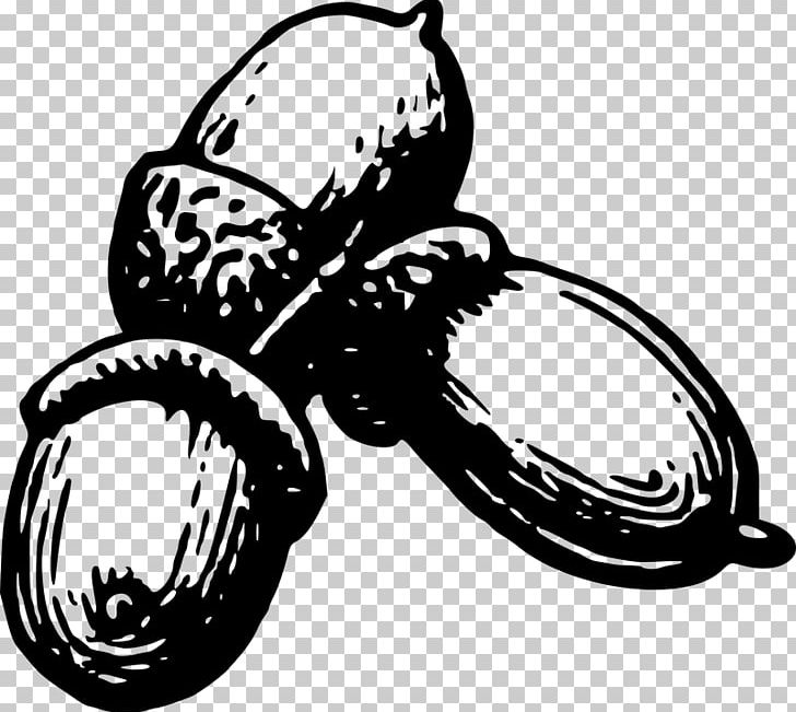 Acorn Seed Computer Icons PNG, Clipart, Acorn, Artwork, Black And White, Computer Icons, Food Free PNG Download