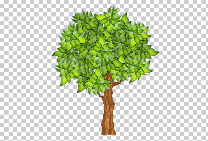 Branch Fruit Tree Drawing PNG, Clipart, Apple, Apples, Blossom, Branch, Cartoon Tree Free PNG Download