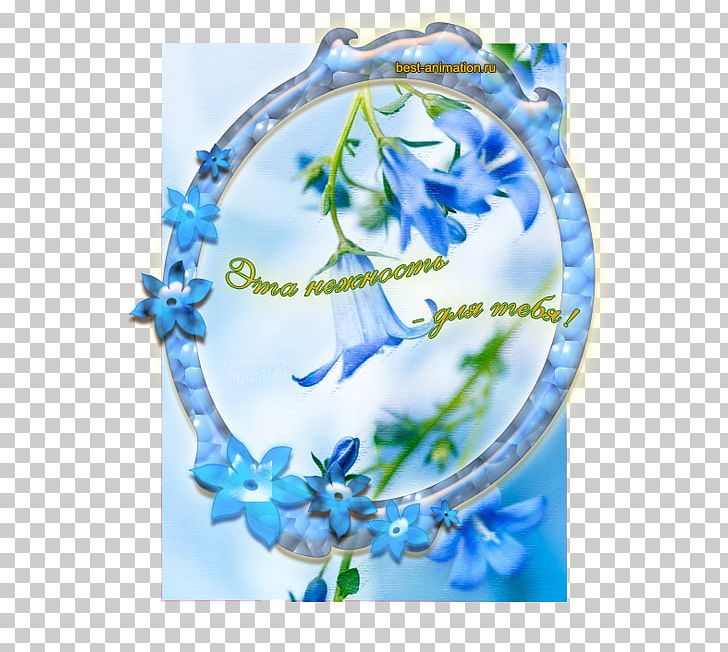 Flower Photography Sister Quotation PNG, Clipart, Blue, Color, Feeling, Flora, Floral Design Free PNG Download