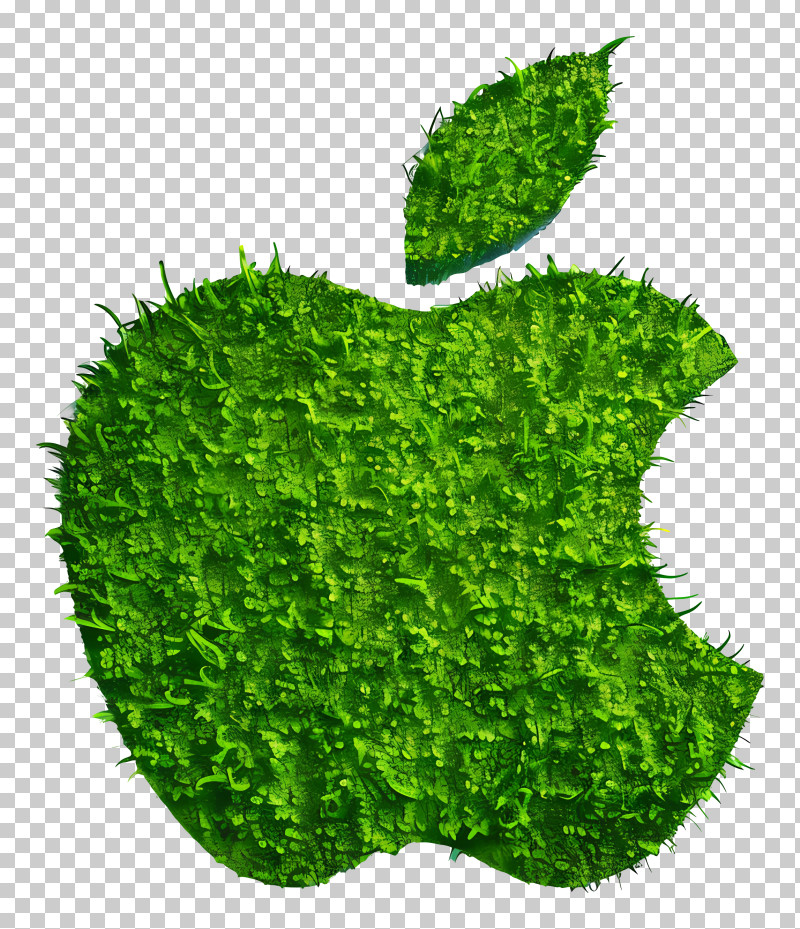 Apple Logo - Grass-Textured Apple Logo Design PNG