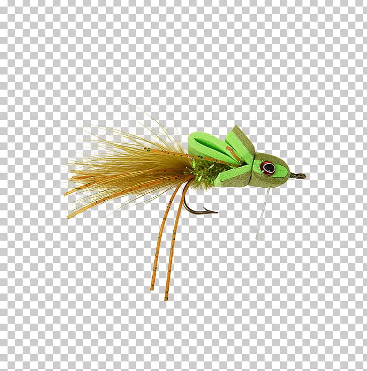 Artificial Fly Insect Holly Flies Striped Bass PNG, Clipart, Artificial Fly, Bluefish, Chartreuse, Email, Fly Free PNG Download