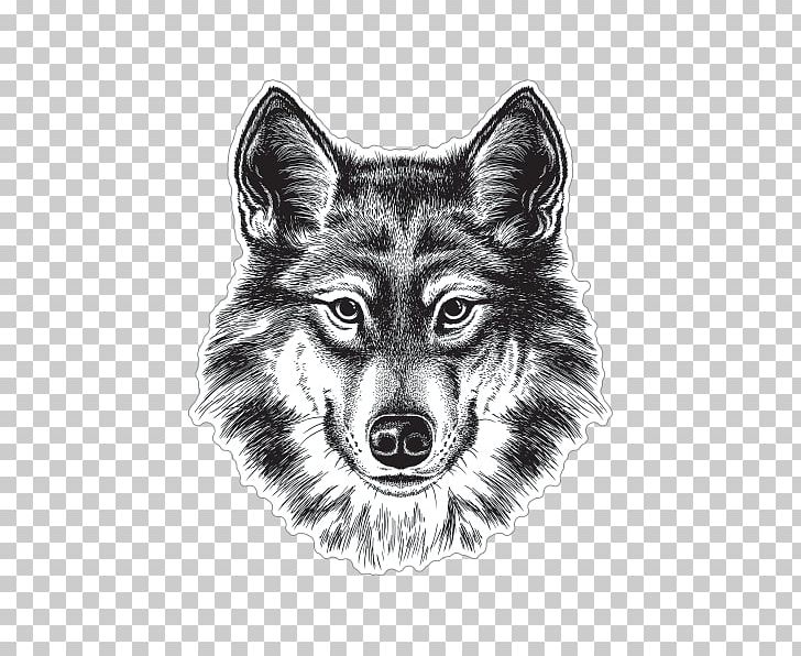 Gray Wolf Siberian Husky Coyote Drawing Sketch PNG, Clipart, Art, Black And White, Black Wolf, Carnivoran, Coyote Free PNG Download