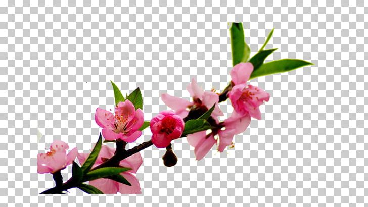Peach Floral Design Flower Blossom PNG, Clipart, Artificial Flower, Branch, Branches, Cherry Blossom, Computer Wallpaper Free PNG Download
