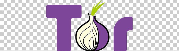 Tor Browser Web Browser I2P .onion PNG, Clipart, Addon, Anonymat Sur Internet, Anonymity, Anonymous Web Browsing, Brand Free PNG Download