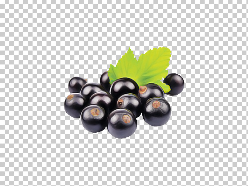 Grape Fruit Berry Plant Grapevine Family PNG, Clipart, Berry, Bilberry, Food, Fruit, Grape Free PNG Download