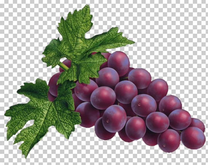 Common Grape Vine Douce Noir PNG, Clipart, Beet, Berry, Common Grape Vine, Download, Food Free PNG Download
