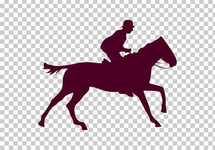 Horse Equestrian Gallop PNG, Clipart, Animals, Canter And Gallop, Eadweard Muybridge, English Riding, Equestrian Free PNG Download